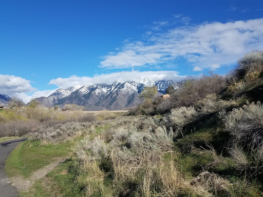 Image of Dimple Dell Regional Park
