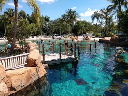 Image of Discovery Cove
