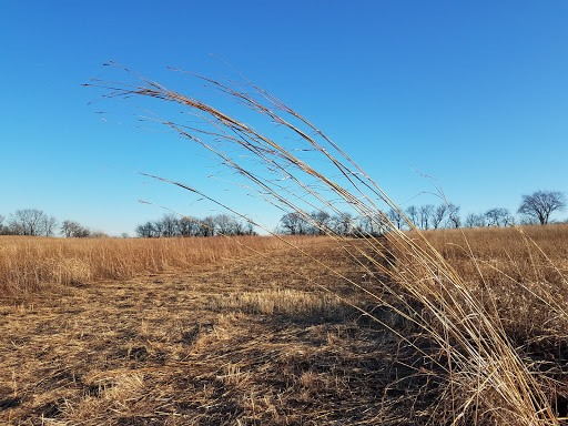 Image of Dixie Briggs Fromm Nature Preserve