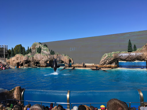 Image of Dolphin Point