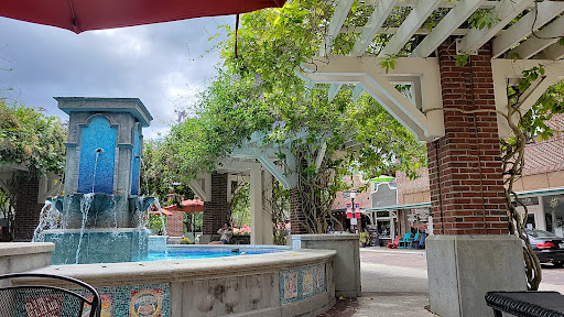 Image of Downtown Winter Garden