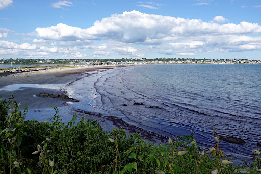 Image of Easton's Beach