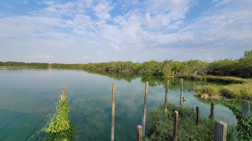 Image of Edinburg Municipal Park