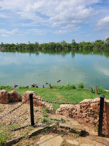 Image of Edinburg Scenic Wetlands & World Birding Center