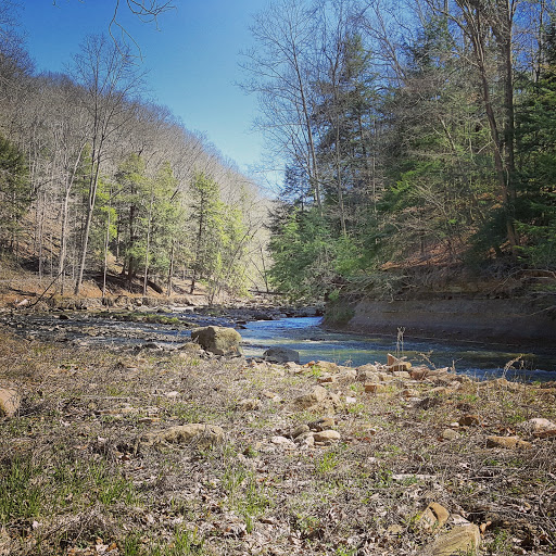 Image of Egbert Picnic Area