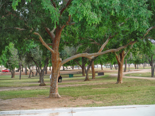 Image of El Prado Park