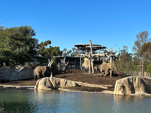 Image of Elephant Odyssey