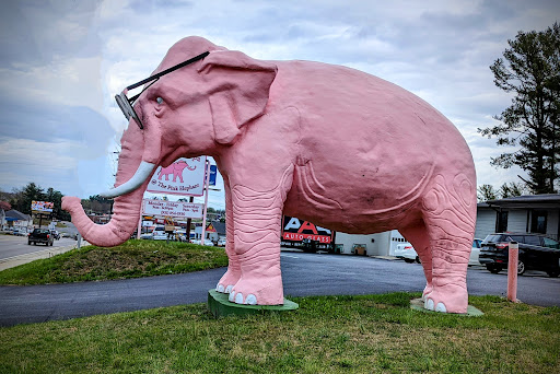 Image of Ellie the Pink Elephant
