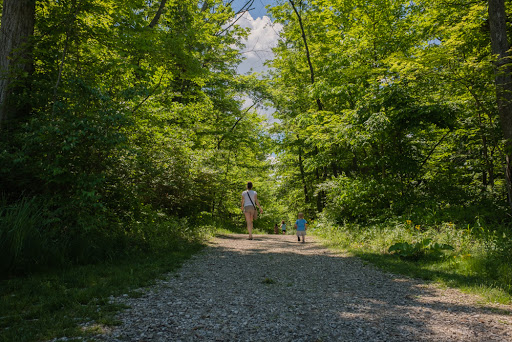 Image of Emily Traphagen Park
