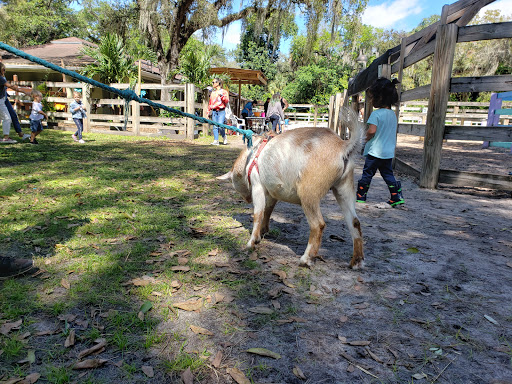 Image of Enchanted Forest Elaine Gordon Park