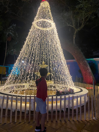 Image of Enchanted Place