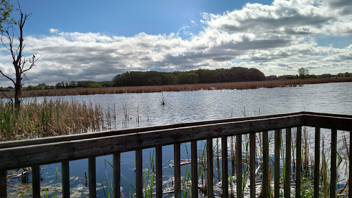 Image of Exner Marsh Conservation Area
