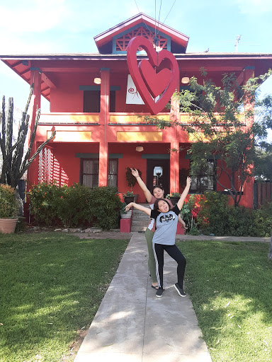 Image of Exotic Art Show