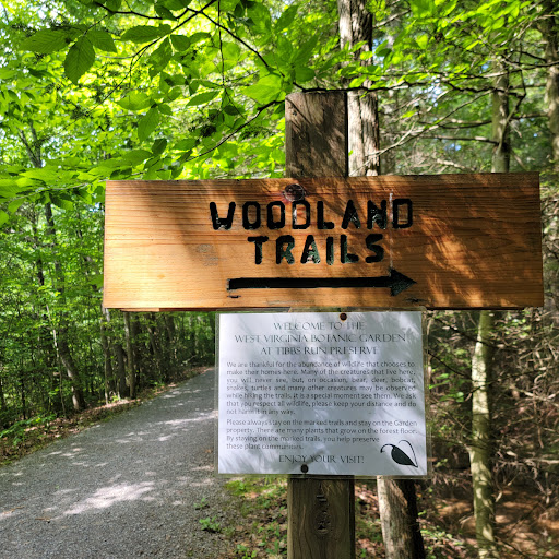 Image of Fairy Garden