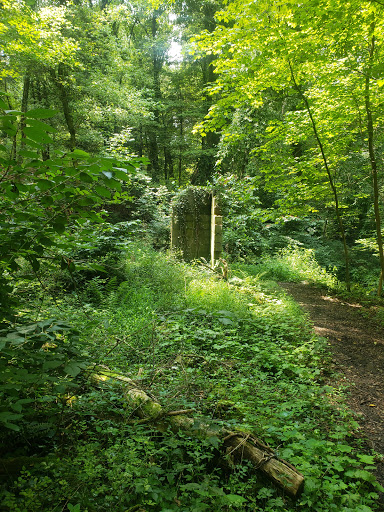 Image of Falling Run Greenspace