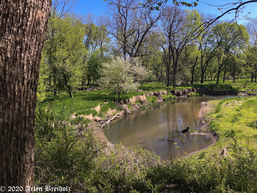 Image of Faulkes Heritage Woods