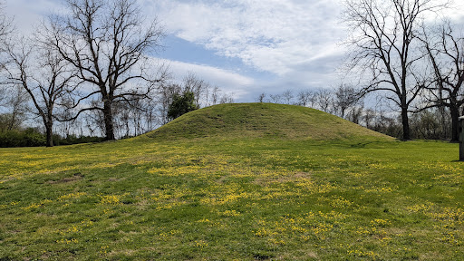 Image of Fewkes Mound Archaeological Site