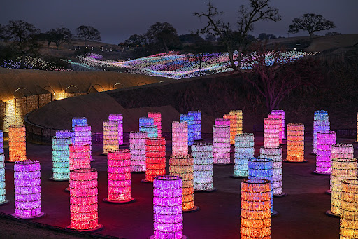 Image of Field of Light