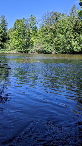 Image of Florence Maxwell Audubon Woods Preserve