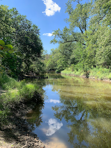Image of Forest Glen Woods