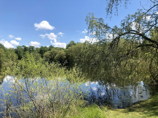 Image of Forest Lake Wildlife Preserve