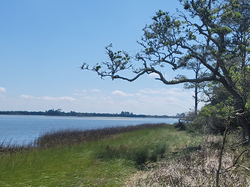 Image of Fort George Island Cultural State Park