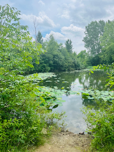 Image of Frank's Park