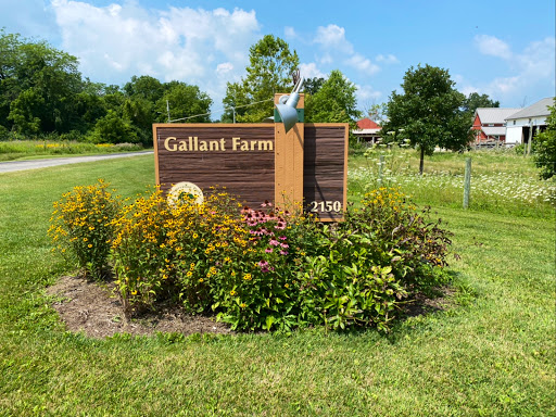 Image of Gallant Farm