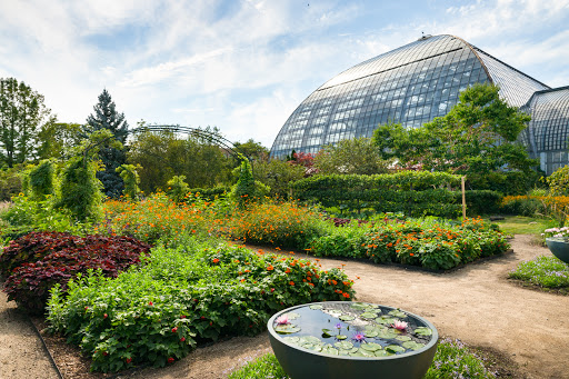 Image of Garfield Park Conservatory