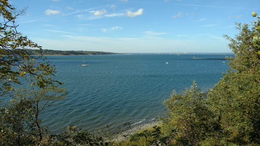 Image of Garvies Point Museum & Preserve