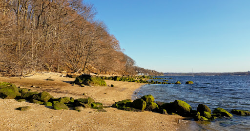 Image of Garvies Point Museum & Preserve