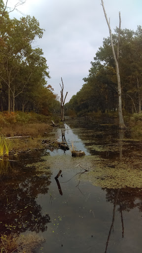 Image of Gibson Woods Nature Preserve