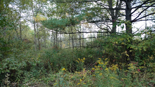 Image of Gleneagle Park