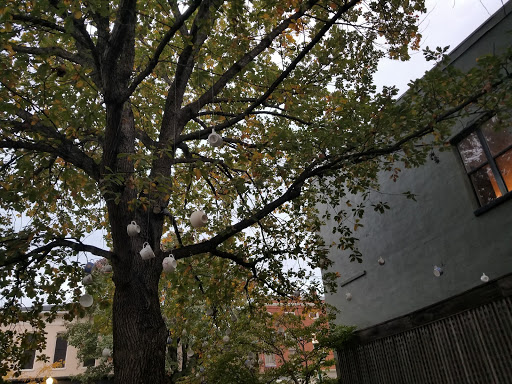 Image of Glossbrenner Public Garden