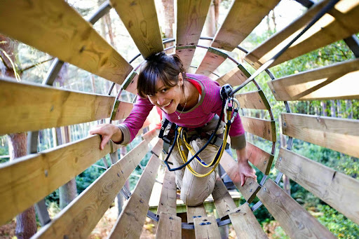 Image of Go Ape Zipline and Adventure Park