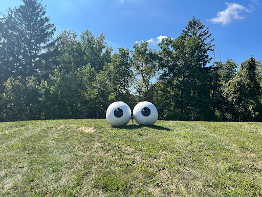 Image of Googly Eyes