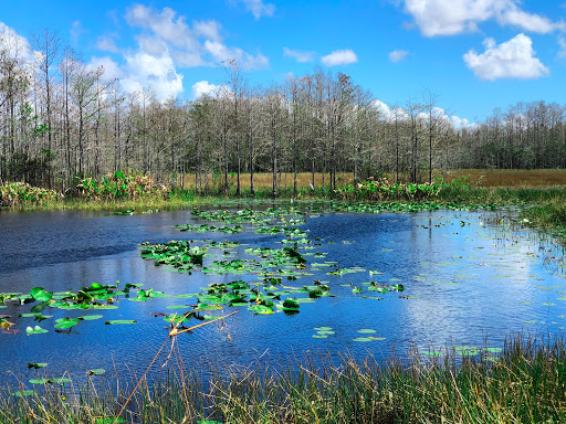 Image of Grassy Waters Preserve