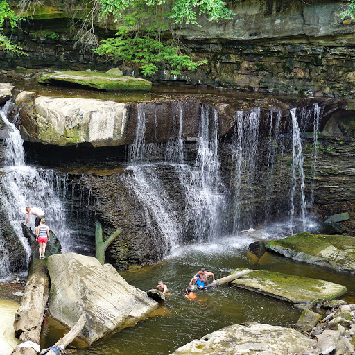 Image of Great Falls of Tinkers Creek