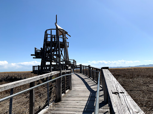 Image of Great Salt Lake Shorelands Preserve