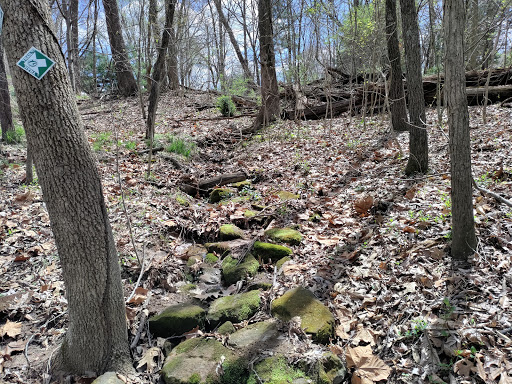 Image of Green Earth's - Brush Hill Preserve