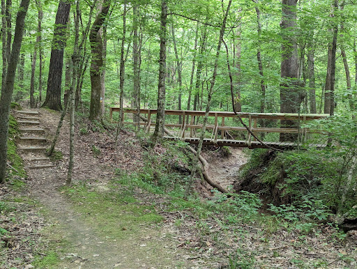 Image of Green Earth's Fernlands Nature Preserve