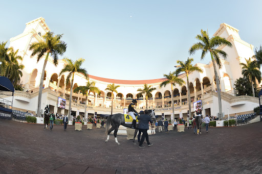Image of Gulfstream Park Racing