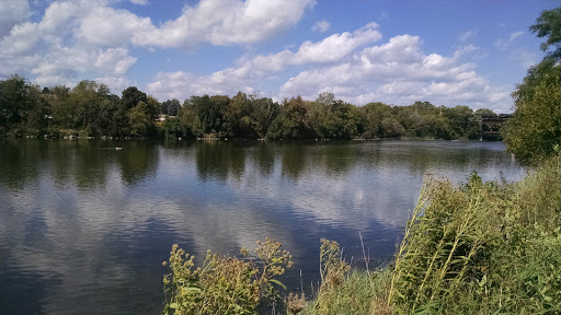 Image of Gunnar Anderson Forest Preserve