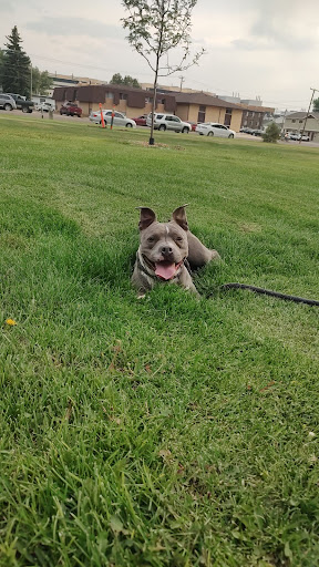 Image of Harbon Park