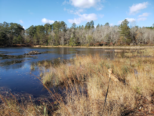 Image of Henderson Heritage Preserve