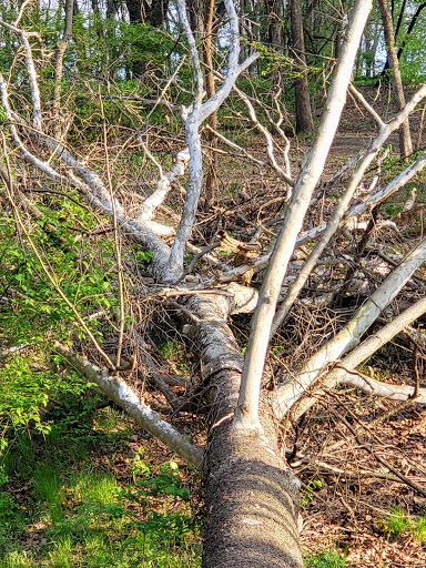 Image of Hobby Hill East Park