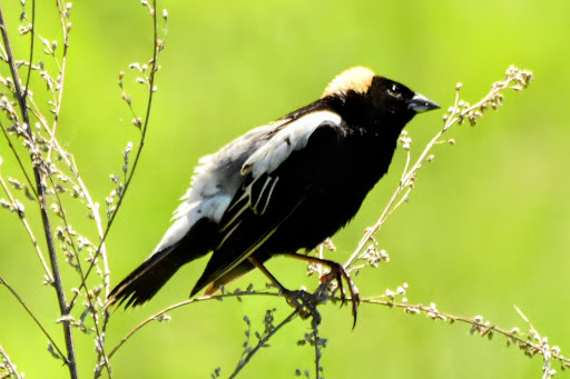 Image of Horizon Farm