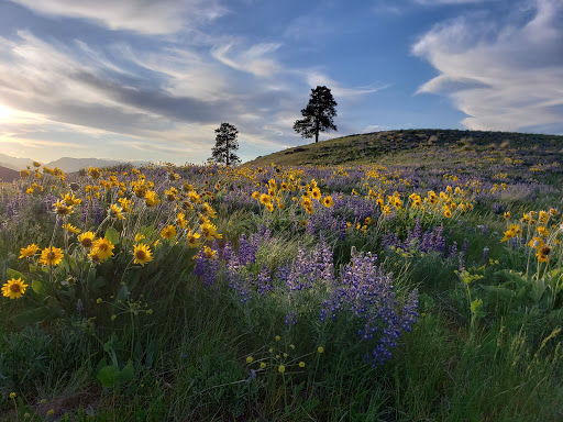 Image of Horselake Trailhead