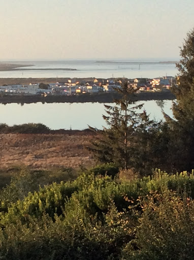Image of Humboldt County Historical Society