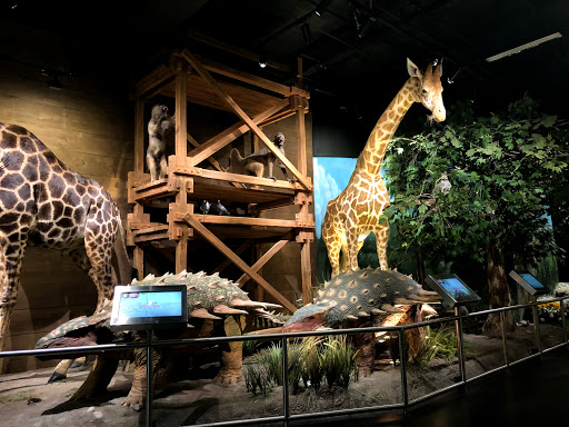 Image of ICR Discovery Center